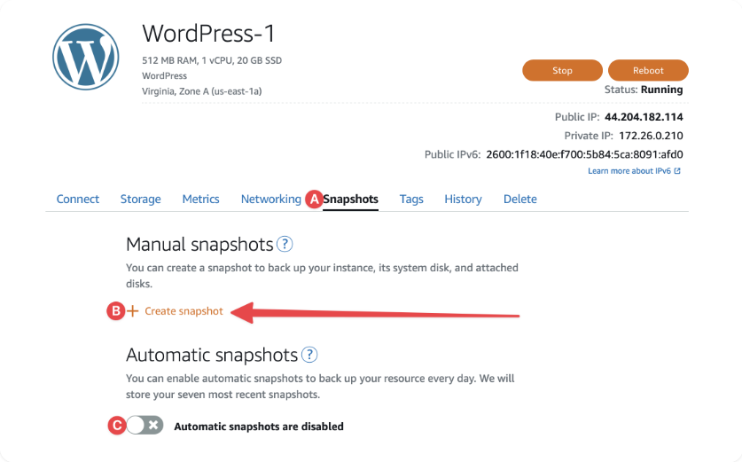 Amazon Lightsail Instance Snapshot
