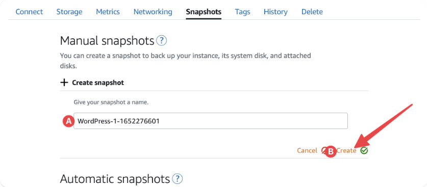 Amazon Lightsail Instance Snapshot